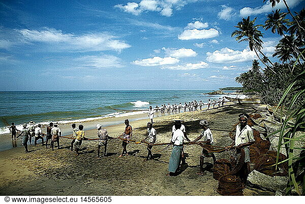 Geografie  Sri Lanka  Menschen  Fischer beim Einholen der Ringnetze an der WestkÃ¼ste sÃ¼dlich von Colombo Geografie, Sri Lanka, Menschen, Fischer beim Einholen der Ringnetze an der WestkÃ¼ste sÃ¼dlich von Colombo,