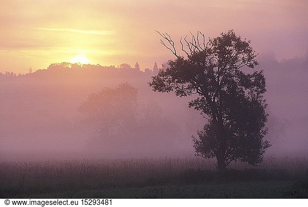 Geografie  Ã–sterreich  Burgenland  Sonnenaufgang und Nebel im Lafnitztal