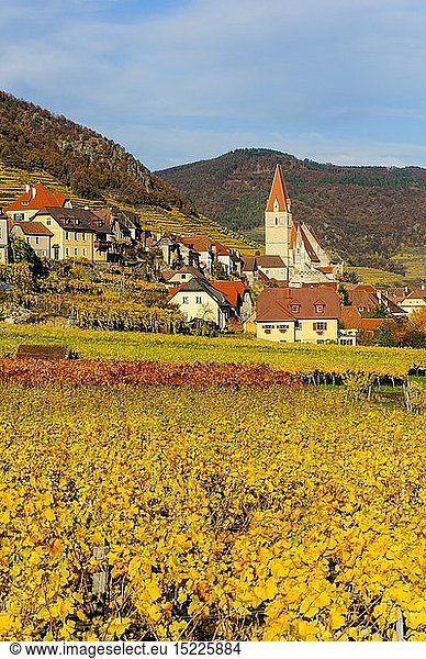 Geografie  Ã–sterreich  NiederÃ¶sterreich  Weissenkirchen  Wachau im Herbst  Ortsansicht