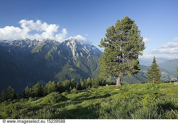 Geografie  Ã–sterreich  Tirol  Lechtaler Alpen  Blick von Granatsch auf den Kamm der Eisenspitze
