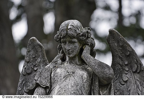 Geografie  Ã–sterreich  Wien  Zentralfriedhof  Engel am Grab