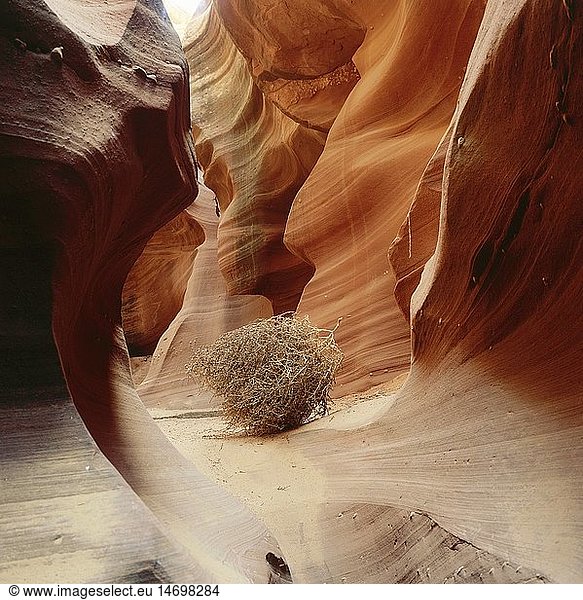 Geografie  USA  Arizona  Landschaften  Navajo Reservat  Waterholes Canyon