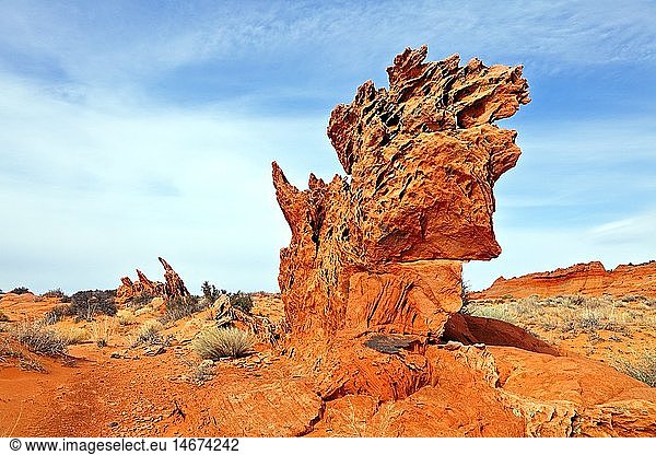 Geografie  USA  Arizona  Sandstein Finne  Edmaiers Secret  Vermillion Cliffs Wilderness