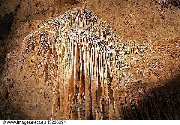 Geografie  USA  New Mexico  Whites City  Carlsbad Caverns  Whites City  New Mexico