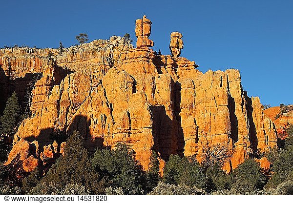Geografie  USA  Utah  Red Canyon  Hoodoos  bei Bryce Canyon