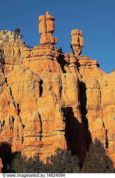 Geografie  USA  Utah  Red Canyon  Hoodoos  bei Bryce Canyon
