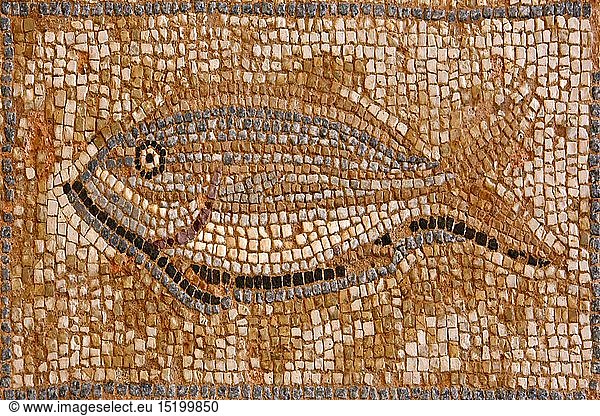 Geografie  Zypern  Kourion  Haus des Eustolios  Mosaikboden  Fisch