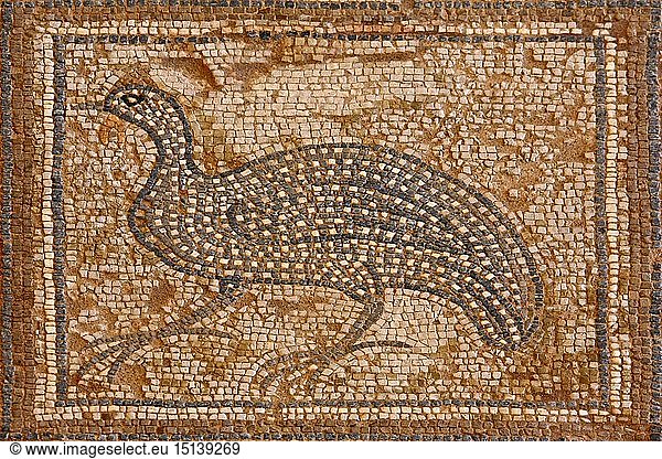 Geografie  Zypern  Kourion  Haus des Eustolios  Mosaikboden  Vogel