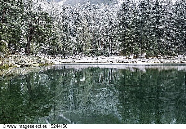 geography / travel  Austria  Styria  Forest with reflection in a lake  The Green Lake  Austria