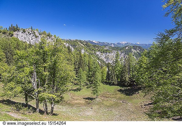 geography / travel  Austria  Styria  Heimmoseralm  Hinterwildalpen  Wildalpen  Alps  Austria