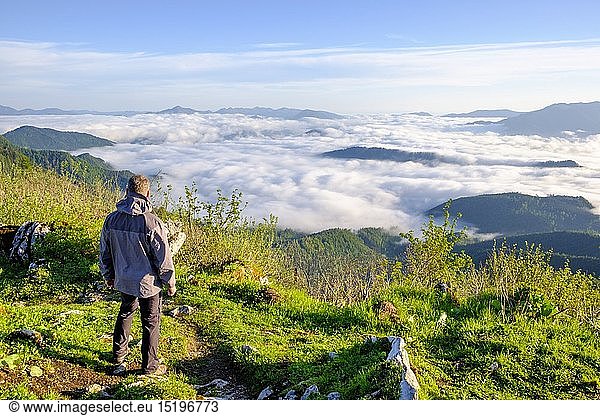 geography / travel  Austria  Styria  Man looking into a valley  Clouds  Mountain  Nationalpark GesÃ¤use  Austria