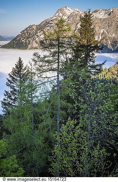 geography / travel  Austria  Styria  Outlook  Mountains  Clouds  Valley  GroÃŸer Buchstein  Nationalpark GesÃ¤use  Austria