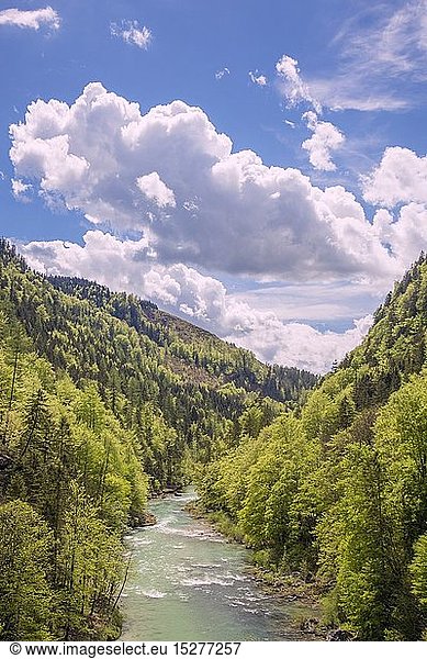 geography / travel  Austria  Styria  Salzatal  River  Valley  Palfau  Wildalpen  Austria