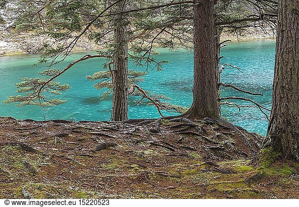geography / travel  Austria  Styria  Trees in front of a green lake  The Green Lake  Austria
