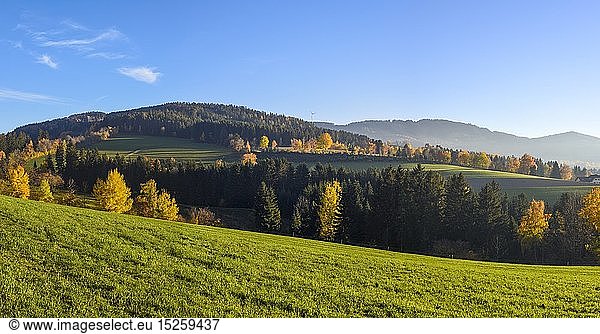 geography / travel  Austria  Styria  Vorau-Puchegg  2015