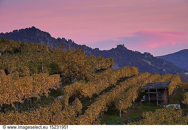 geography / travel  Austria  Weissenkirchen  autumnal vineyard