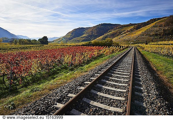 geography / travel  Austria  Weissenkirchen  splint through the autumnal landscape of the Wachau