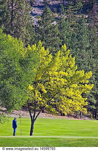 geography / travel  Canada  British Columbia  Okanagan-Similkameen D  Person on a putting green at the Twin Lakes Golf & RV Resort  Marron Valley  Highway 3A  Okanagan-Similkameen Region  Okanagan