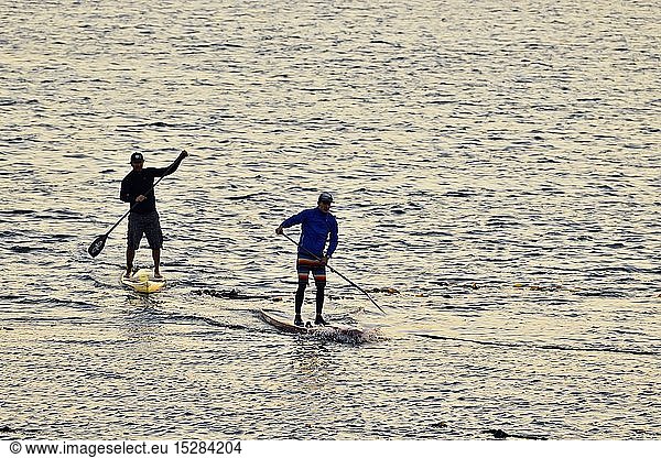 geography / travel  Canada  British Columbia  Victoria  Paddleboarders near Clover Point