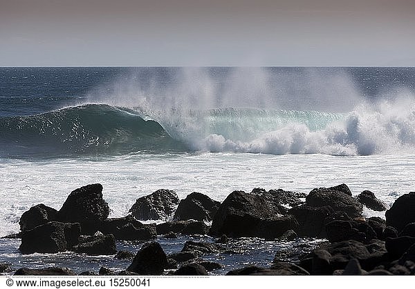 geography / travel  Ecuador  Big Waves breaking at shore  North Seymour  Galapagos  Ecuador