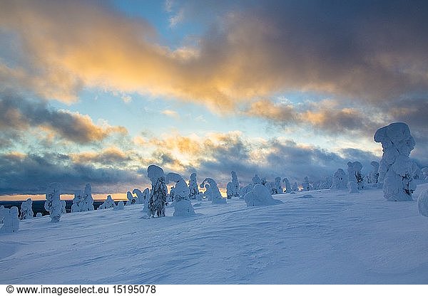 geography / travel  Finland  sunset  winter landscape  Riisitunturi national park  Finland  Scandinavia  Lapland