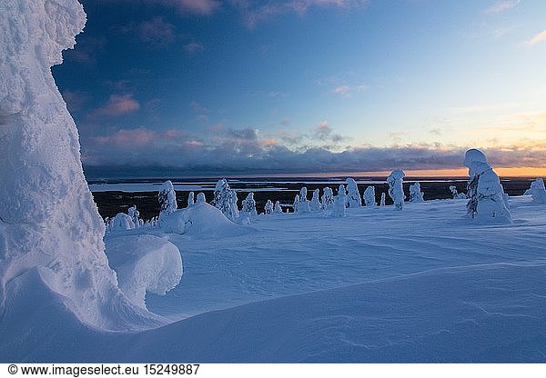 geography / travel  Finland  sunset  winter landscape  Riisitunturi national park  Finland  Scandinavia  Lapland