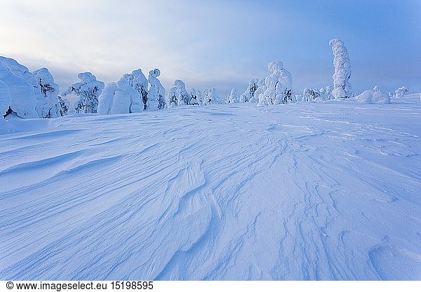 geography / travel  Finland  winter landscape  Riisitunturi national park  Finland  Scandinavia  Lapland