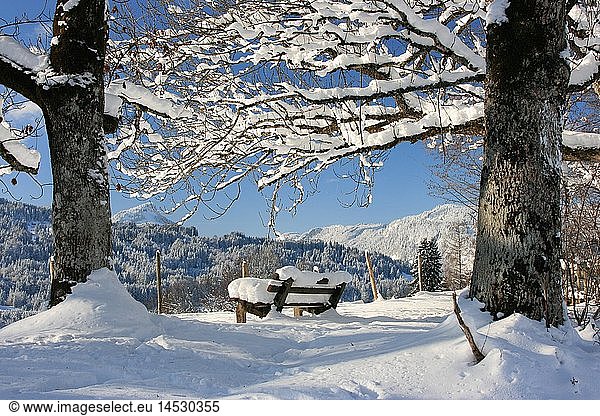 geography / travel  Germany  Bavaria  Allgaeu  Upper Allgaeu  winter near Oberstdorf  bench
