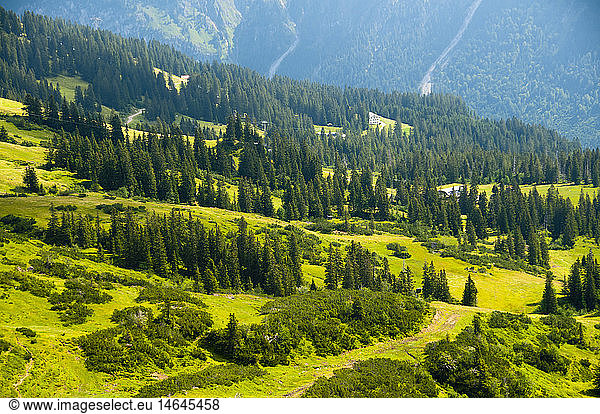 geography / travel  Germany  Bavaria  mountain pasture and forest at the Fellhorn near Oberstdorf