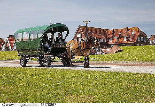 geography / travel  Germany  Lower Saxony  Eastern Friesland  Baltrum Isle  horse-drawn vehicle transporting tourists