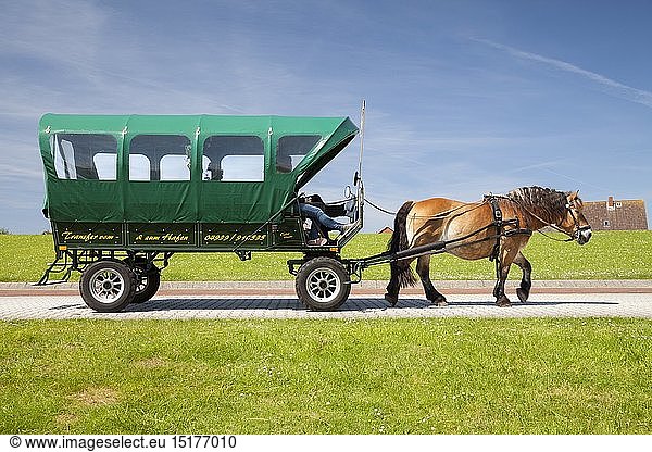 geography / travel  Germany  Lower Saxony  Eastern Friesland  Baltrum Isle  horse-drawn vehicle transporting tourists