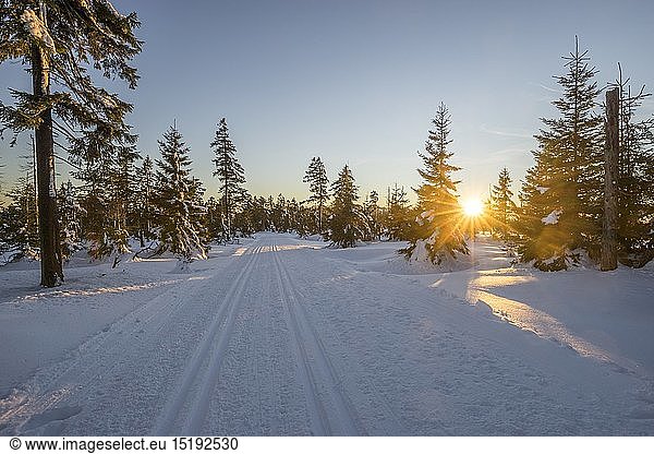 geography / travel  Germany  Lower Saxony  Harz National Park  cross- country skiing trail 'Auf dem Acker' in the evening