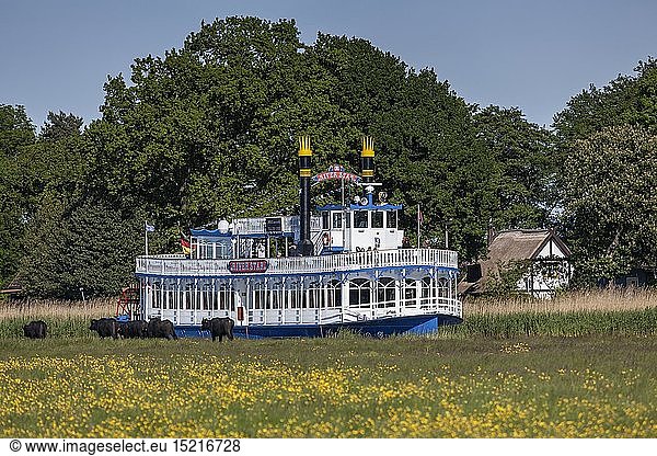 geography / travel  Germany  Mecklenburg-West Pomerania  Prerow  Fischland  excursion boat Riverstar at Prerower Strom  Baltic Sea spa resort Prerow  peninsula Fischland-Darss-Zingst