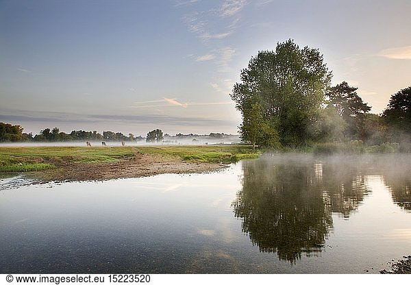 geography / travel  Great Britain  England  Sudbury  Water Meadows at Dawn