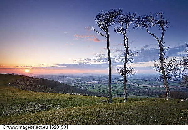 Geography / travel  Great Britain  England  West Sussex  Chanctonbury Ring  View from Chanctonbury Ring