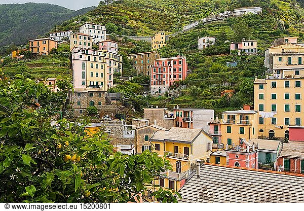 geography / travel  Italy  Liguria  Riomaggiore village view  Riomaggiore  Cinque Terre