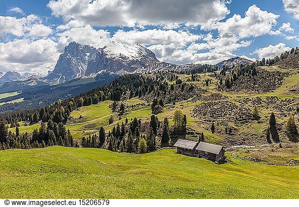 geography / travel  Italy  South Tyrol  Alm and Alpine hut on the Seiser mountain pasture
