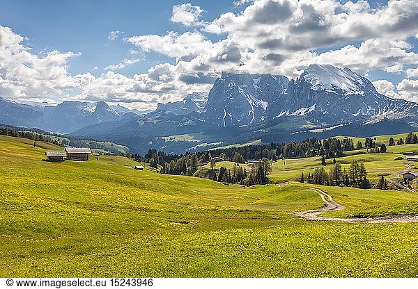 geography / travel  Italy  South Tyrol  Alm on the Seiser mountain pasture with view to the Plattkofel
