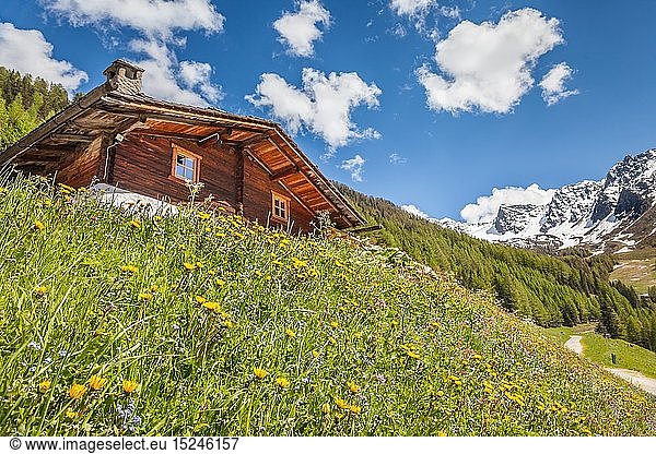 geography / travel  Italy  South Tyrol  Alpine hut and mountain meadow on the Klausberg near stone house  Ahrntal (Ahrn Valley)