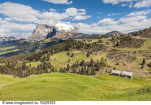 geography / travel  Italy  South Tyrol  mountain meadow and alpine hut on the Seiser mountain pasture with view to the Plattkofel (2969 m)