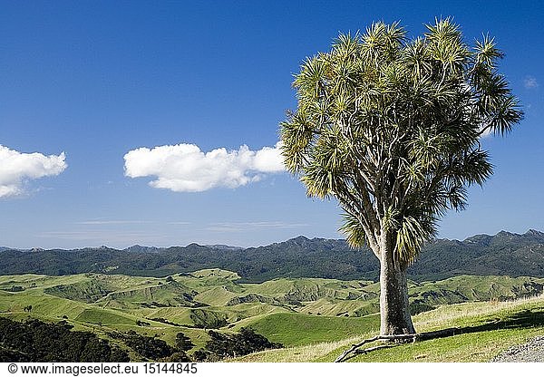 Geography / travel New Zealand Farmland near Martinborough Wairarapa North Island