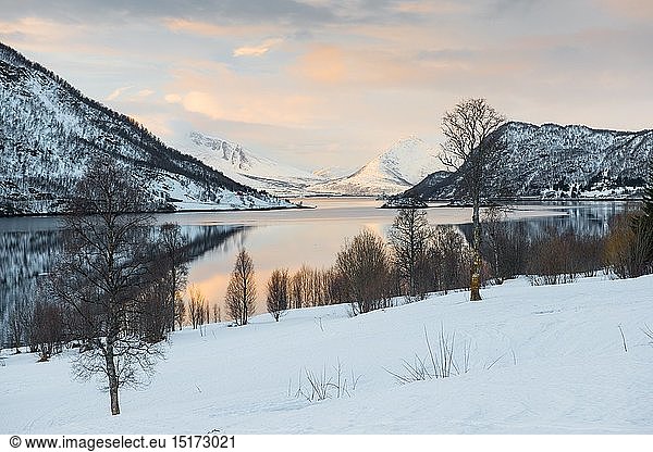 geography / travel  Norway  Ramfjord winter landscape  Northern  Norway