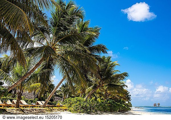 geography / travel  Seychelles  La Digue  Anse La Reunion  beach with palm trees