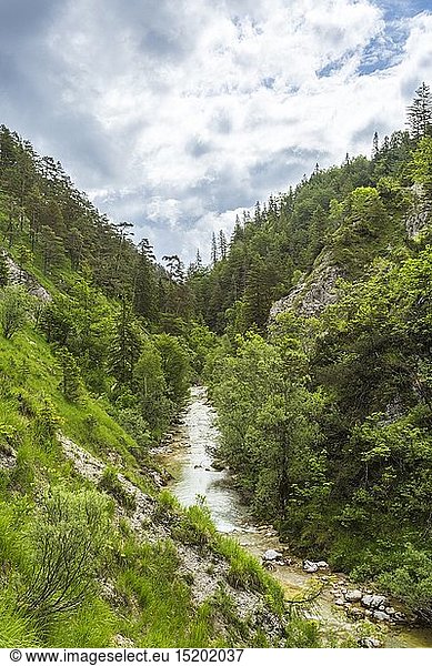 geography / travel  Ã–sterreich  NiederÃ¶sterreich  Ã–tschergrÃ¤ben  River  Ã–tscherbach  Canyon  Naturpark Ã–tscher TormÃ¤uer  Mostviertel  Austria