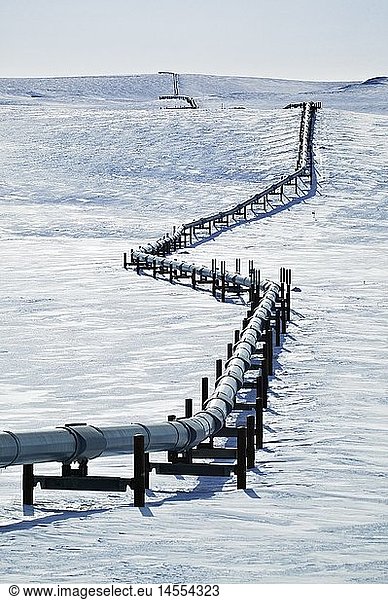 geography / travel  USA  Alaska  Alaska  winter  along James Dalton Highway  along alaska Pipeline  alaska pipeline  alaska oil pipeline