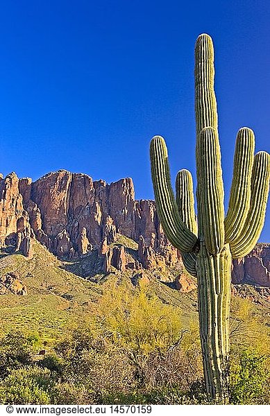 geography / travel  USA  Arizona  Phoenix  Superstition Mountains  Lost Dutchman State Park  Arizona  40 miles east of Phoenix
