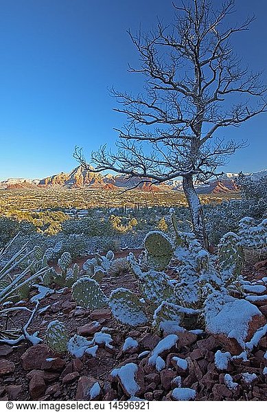 geography / travel  USA  Arizona  Sedona  Sedona after fresh snow  Arizona