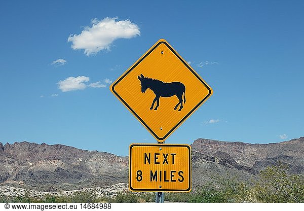 geography / travel  USA  Arizona  warning sign 'Wild Donkeys' on Route 66 near Oatman