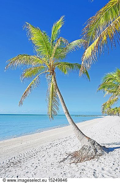 geography / travel  USA  George Smathers Beach  Key West  Florida