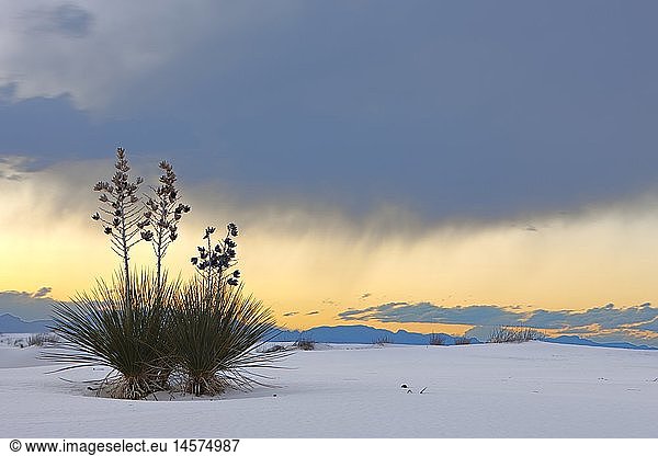 geography / travel  USA  New Mexico  Alamogordo  hdr  layered White Sands National Monument